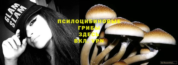 экстази Дмитриев