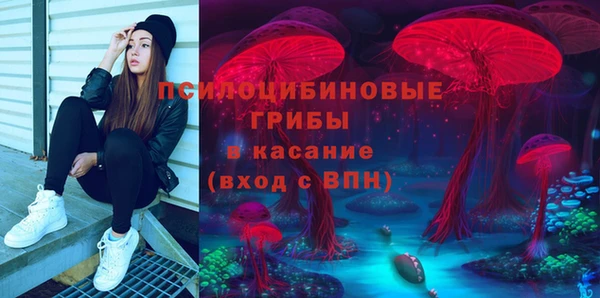 экстази Дмитриев