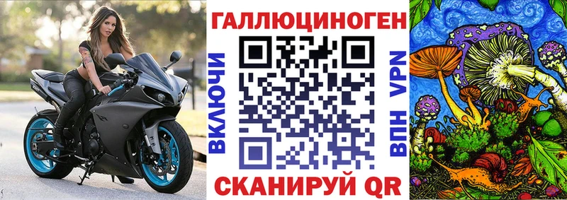 Псилоцибиновые грибы Psilocybine cubensis  Оха 